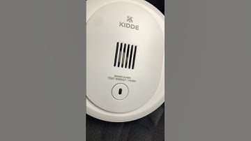 Kiddie 10SDR model