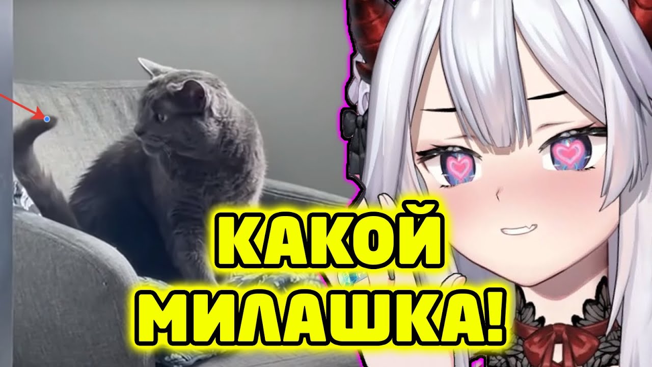 Вейбей и реакция на смешные и не только видосики | Veibae смотрит смешные видео