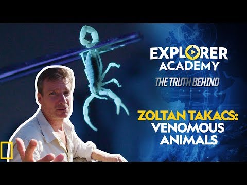 zoltan-takacs:-venomous-animals-|-explorer-academy:-the-truth-behind