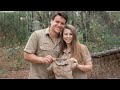 Bindi Irwin Is PREGNANT With Her First Child!