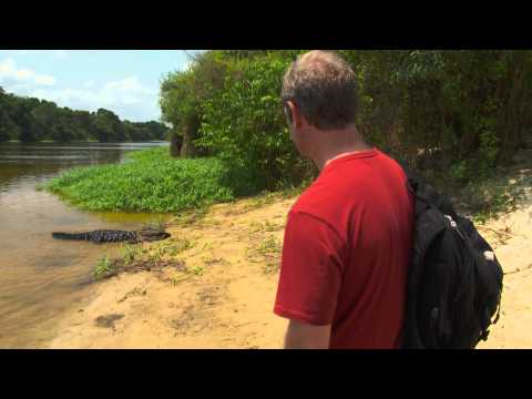 Robson Green's Caiman Croc Shock!