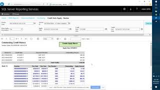Auto Apply GP Credit Memos - SSRS Interactive Report screenshot 5