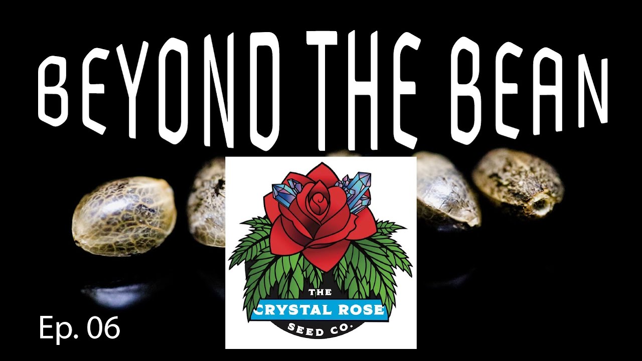 Crystal Rose Seed Co. - Beyond the Bean Ep. 06