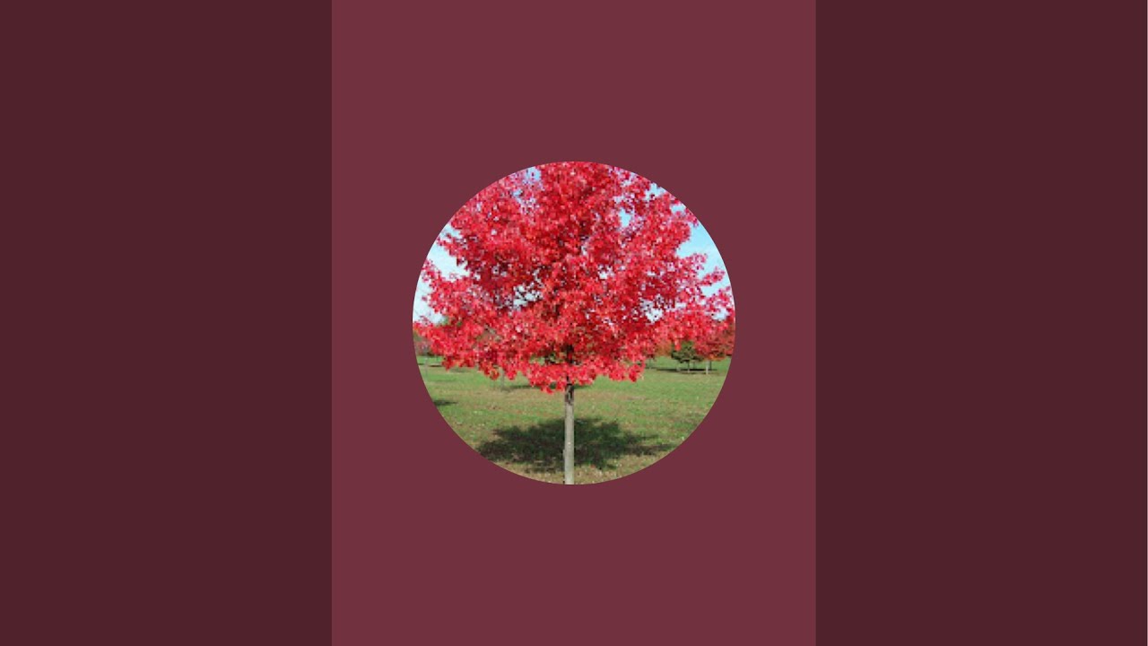 София Акинина в прямом эфире!