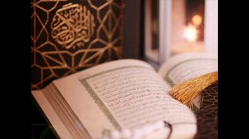 سورة الرحمن برواية قالون عن نافع للقارئ الشيخ محمد الحب