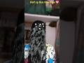 1 Minutes Mini Clip Half up Hairstyle ✨ 💞 #hairstyle #miniclip #easyhairstyle #shorts