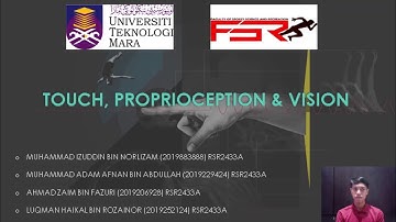 SPS606 MOTOR CONTROL : TOUCH, PROPRIOCEPTION & VISION.