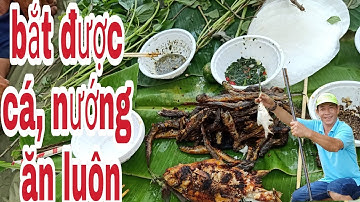 câu cá sông và nướng ăn tại chỗ: tập 1!