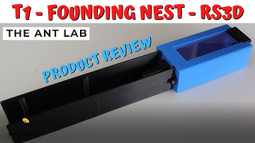 T1 Founding Nest - RS3D - The Ant Lab - Ant Keeping