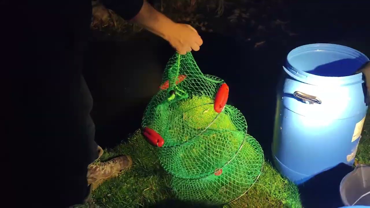 Идеальный Биофильтр по ЭКО-технологии Dreissena-pond