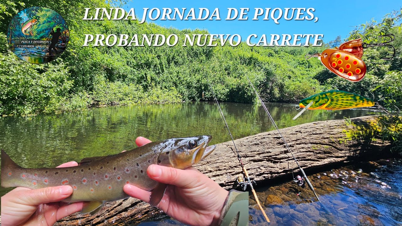 PESCA Y DIVERSIÓN LOS RIOS/VARIOS PIQUES Y PROBANDO NUEVO CARRETE🎣🇨🇱