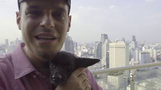 Sklero U0026 Dj Soul K kd  Freddo Dentro prod Beatbakers