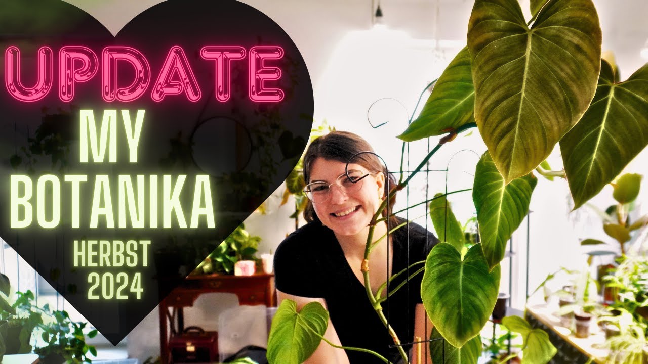 MyBotanika vs. Realität – Meine Pflanzen nach einem halben Jahr (My Botanika Hamm Herbst 2024)