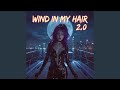 Wind In My Hair 2 0