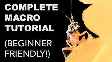 Complete Macro Photography Tutorial for Beginners