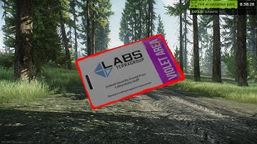 Dynamic loot update - VIOLET LABS CARD on woods - Escape From Tarkov