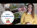 ЧТО В МОРОЗИЛКЕ? Организация хранения замороженных продуктов в морозильной камере // Обзор