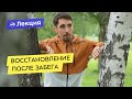 Как восстанавливаться после забега