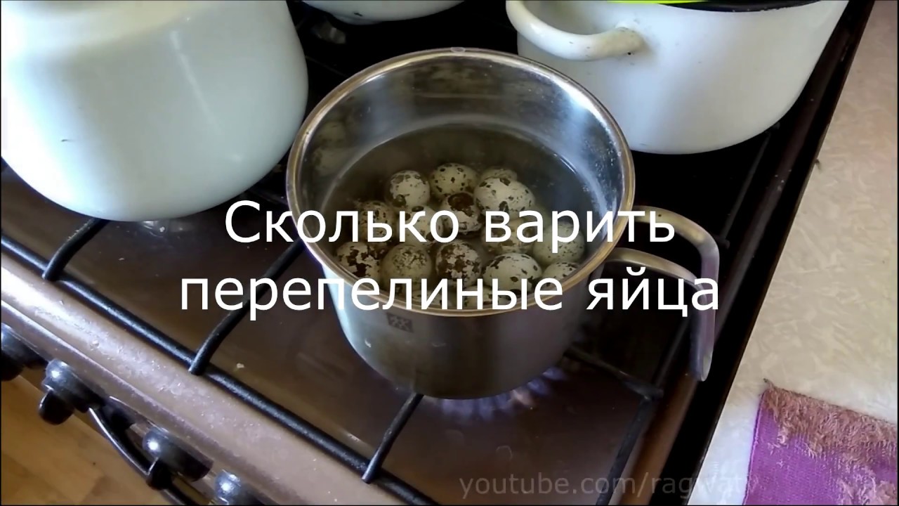 Сколько времени варить перепелиные яйца Сколько времени варить перепелиные яйца