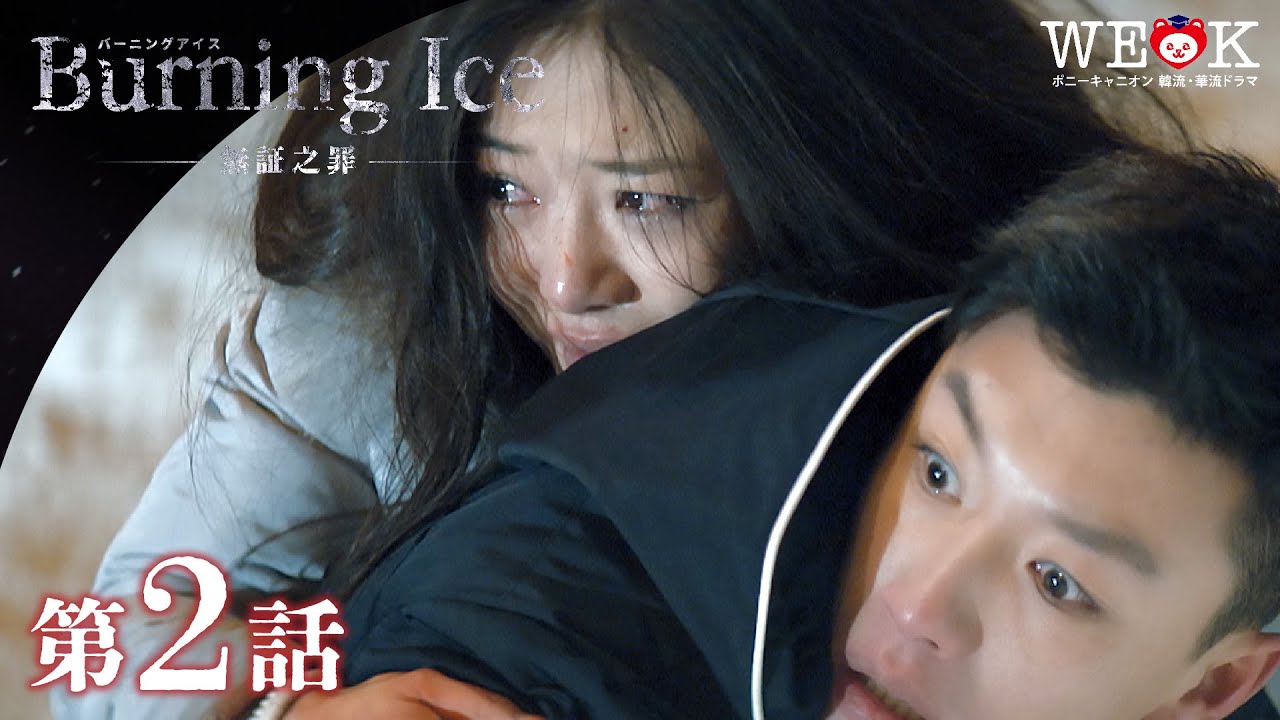 全巻セットDVD▼Burning Ice バーニング・アイス 無証之罪(6枚セット)第1話～第12話 最終【字幕】▽レンタル落ち 海外ドラマ