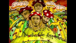 STEP ON IT - THE MOSHEDELIC EXPERIENCE   EP
