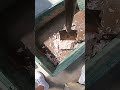 凍ったオキアミを高速で砕くオキアミクラッシャー