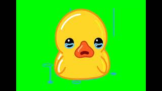 Sad Crying Duck - Telegram Sticker - Green Screen Video For Video Editing - Animated GIF