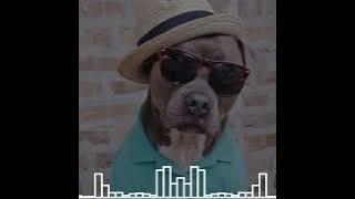 🌴 Onetox - Everything Reggae Remix 🌴 2️⃣0️⃣2️⃣3️⃣🔊🔊