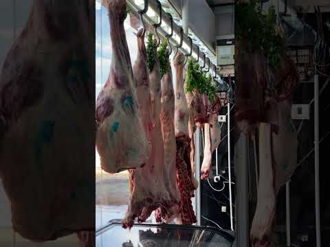 ملحمة لزيز الطازج           