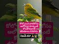 నిజమే కదా #trends #telugu #school #love #dscpupils #motivation #life #trueline #education #short