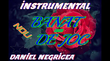 █▬█ █ ▀█▀ --2023--BANAT DE JOC--DANIEL NEGRICEA --[DOMN PROFESOR DANCIU]