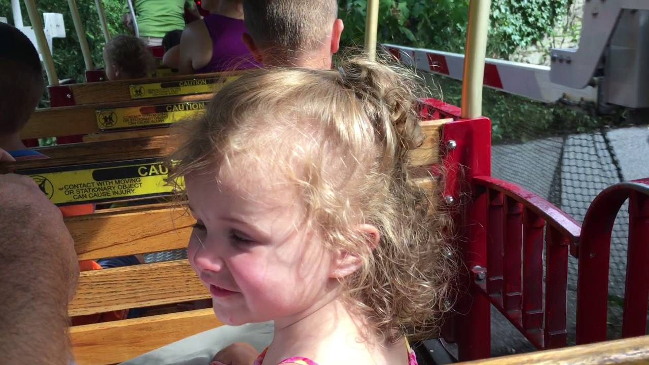 Train ride at the Cincinnati Zoo YouTube