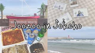 Joozoo in Sokcho_Day 2