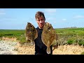 Spring Spearfishing for big flatfish (Isle of Anglesey)