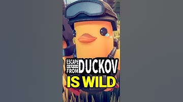 Escape From Duckov is WILD!