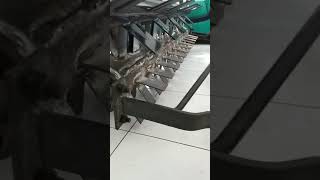 Gelebek modifikasi