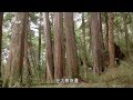 【山林保育】 重返扁柏神殿｜檜木林的國度 (我們的島 第742集 2014-01-20)