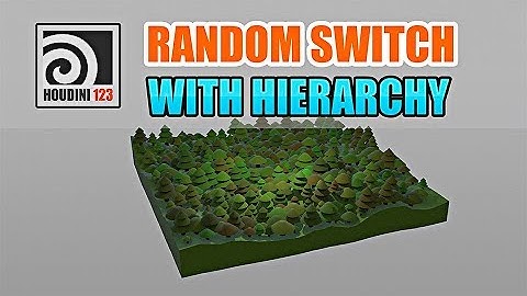 Random Switch With Hierarchy