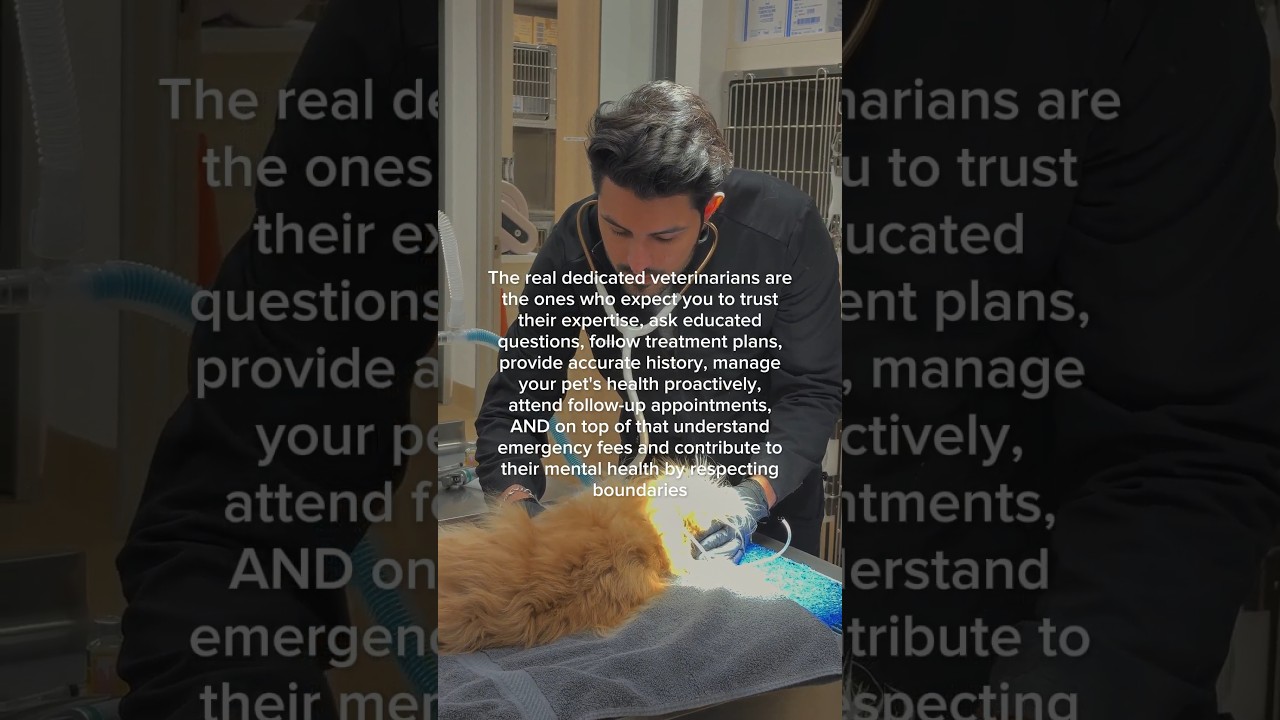 Great veterinary care requires commitment from both sides of the exam table 🩺