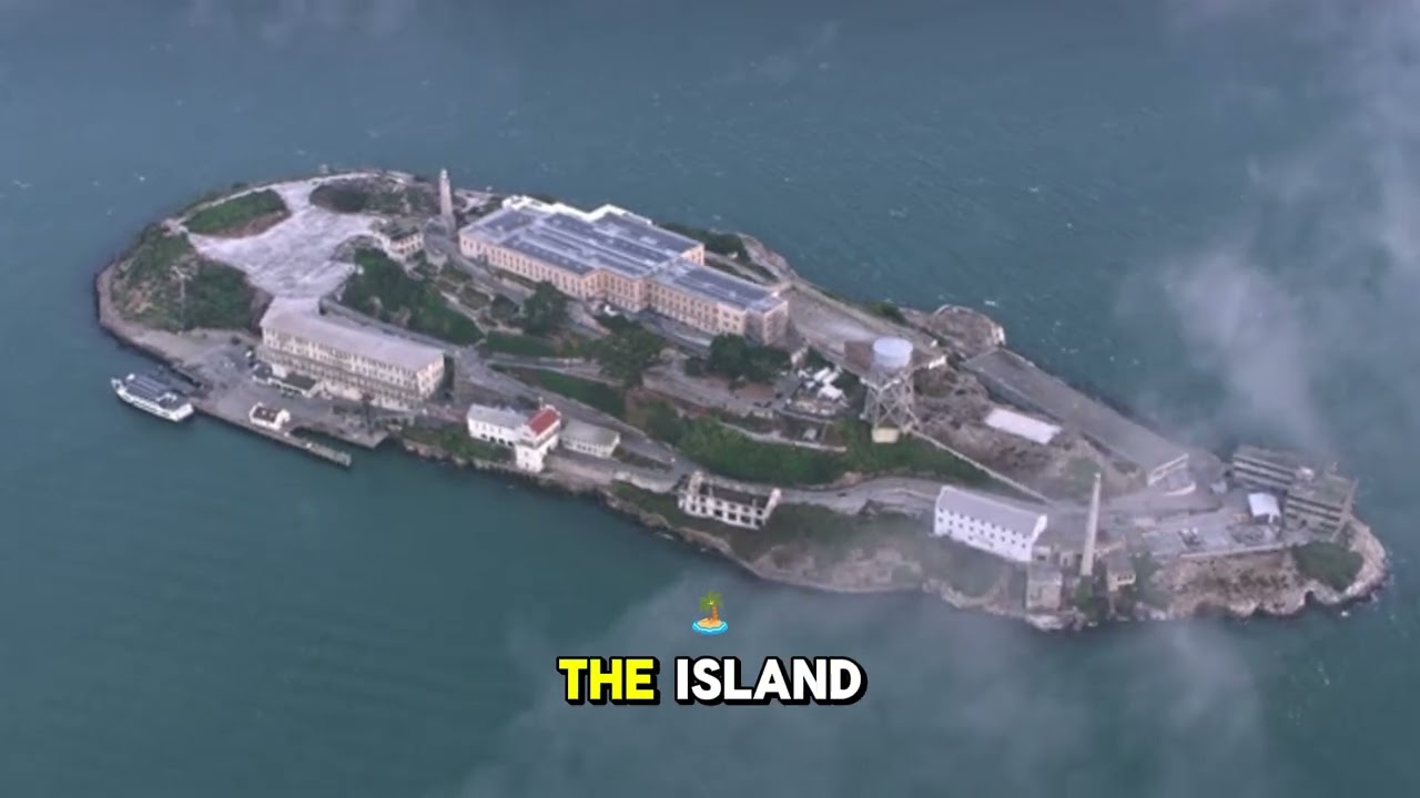 Exploring South Africa: A Journey Through Culture and Nature | Safari, Cape Town & Mandela's Legacy