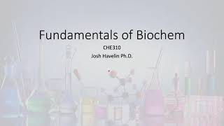 20230216 Amino acids and protein section 3 to post