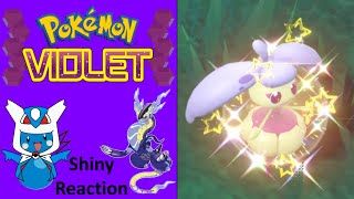 Pokemon Violet: Shiny Steenee Reaction