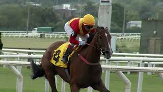 Vidéo de la course PMU PRIX HOLIDAY INN (2019)