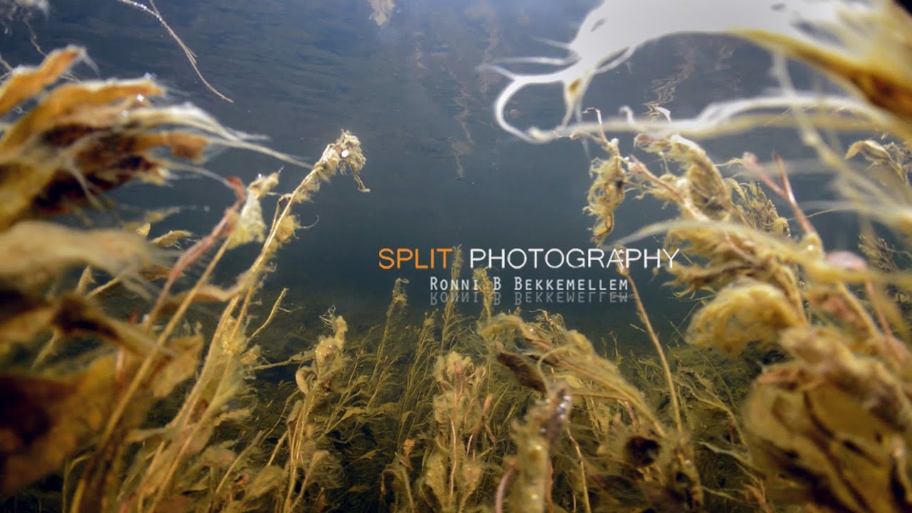 Diving Engesetdalsvatnet