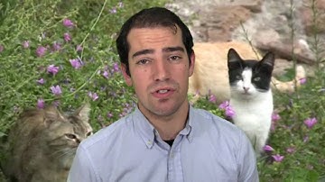 YOU NEED A INDENTOR!