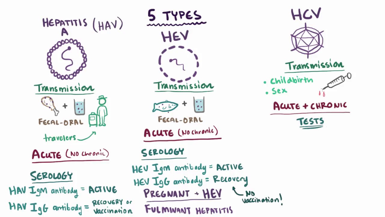 Hepatitis Viral A B C D E Causes Symptoms Diagnosis