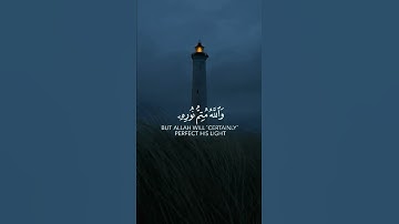قرآن كريم بصوت القارئ أحمد النفيس 😌 تلاوة خاشعة وجميلة
