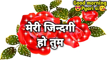 Meri jindgi ho tum | Good morning love shayari Romantic whaatsapp status GIF video