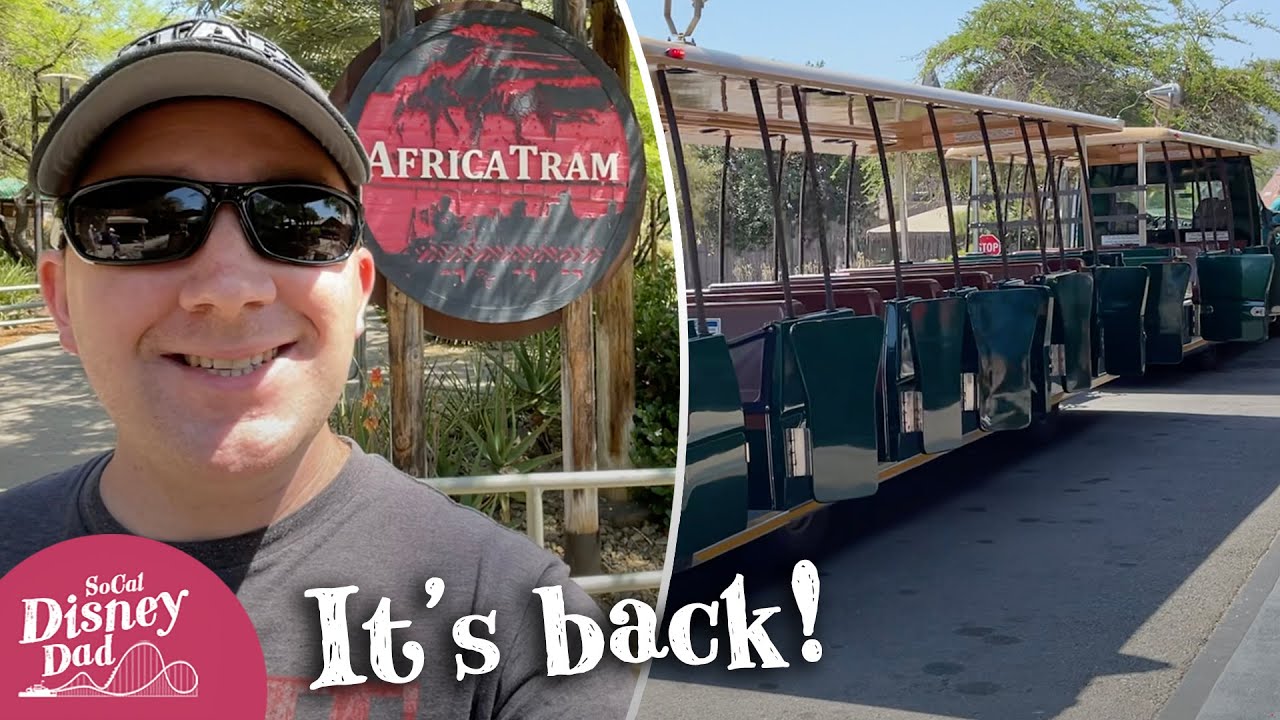 africa tram safari vs cart safari