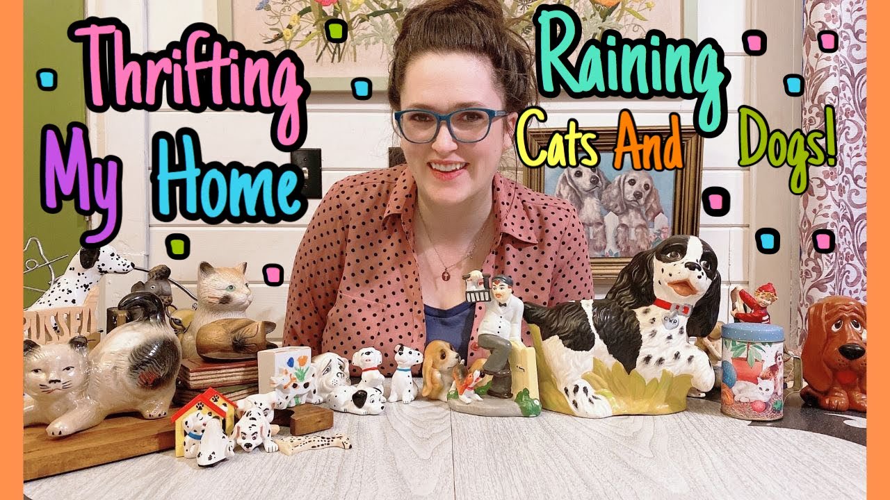 Thrifting My Home | It"s Raining Cats and Dogs | Thrift Haul ...